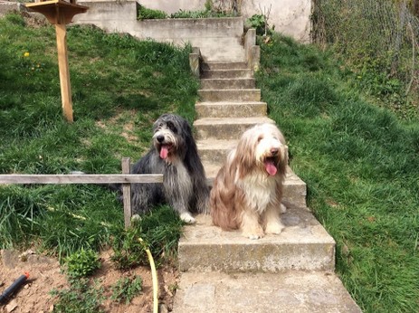 Wolfie und Elly